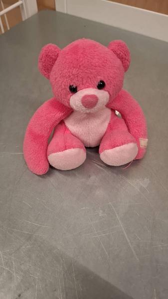 Speelgoed Doudou nounours ourson peluche rose