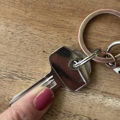 Sleutels, som rapporterats till iLost