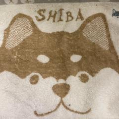 ラグ がiLostで IKEA鶴浜 によって報告されました