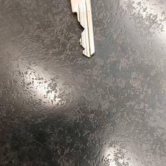 Gakoa, gisa salatu by Rotterdam The Hague Airport iLost erabiliz