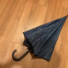 Paraply blauw - 071225 MAN, rapporterat av Ziggo Dome med iLost