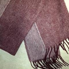 Scialle Paars, come riportato da Qbuzz DMG utilizzando iLost