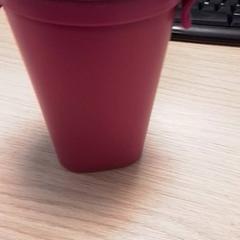 Kopp Roze, rapporterat av Qbuzz Fryslân med iLost