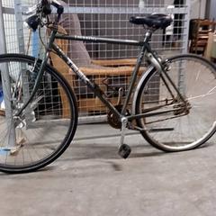 Bicicleta masculina Trek Donkergroen, segundo informou Fietsdepot Hasselt usando iLost