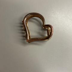 ヘアークリップ hartje がiLostで Burgers' Zoo によって報告されました