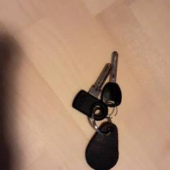 Nyckel, rapporterat av LUMC med iLost