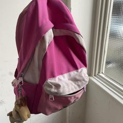 Roze kinder rugzakje, como reportado ao iLost