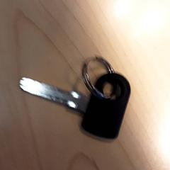 Fietssleutels Zwart، كما تم الإبلاغ عنه بواسطة LUMC عبر iLost