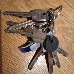 Sleutelbos, ha sido reportado a iLost