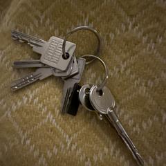 Sleutelbos, segons s'ha informat a iLost