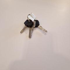 Kľúčenka, ako bolo nahlásené Gemeente Noordwijk pomocou iLost