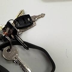 Nøkkel, som rapportert av ilévia ved bruk av iLost
