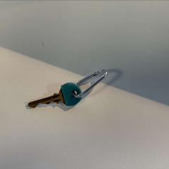 Clé, a été signalé par AFAS Live utilisant iLost