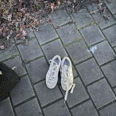 Schoenen, ako bolo nahlásené iLost