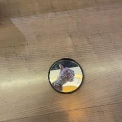 Spiegeltje Zwart, a été signalé par Pathé Arnhem utilisant iLost