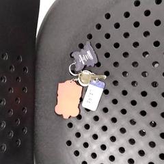 Schlüssel, gemeldet von Arriva Twents über iLost