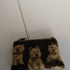 Titular da tarxeta Kiakondatadi, segundo informou Regio Antwerpen - Brussel usando iLost