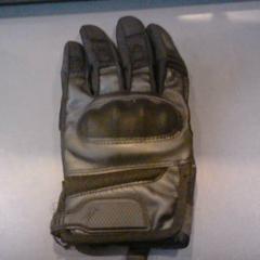 Rękawiczki, zgłoszono przez SnowWorld Landgraaf przy użyciu iLost