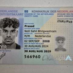 Legitimatiebewijs, iLost-i jakinarazi zaion moduan