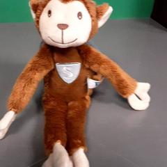 Knuffel aap, segundo informou Diergaarde Blijdorp usando iLost