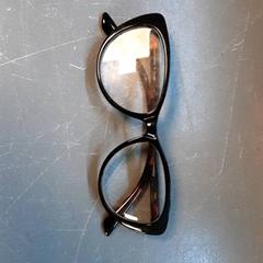 Lentes, segundo informou Diergaarde Blijdorp usando iLost