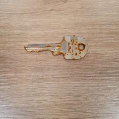 Key, as reported by Breda University of Applied Sciences Mgr. Hopmansstraat using iLost