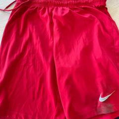 스포츠 바지 rood Nike, iLost를 사용하여 Van Heugten Tours에 보고됨