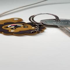 Schlüssel, gemeldet von Beeld & Geluid Hilversum über iLost