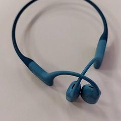 Cuffia Blauw, come riportato da Vrije Universiteit Amsterdam utilizzando iLost