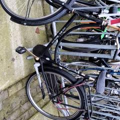 Zwarte opoefiets, segons ha informat Stadswerk072 mitjançant iLost