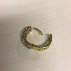 القرط Goudkleurig، كما تم الإبلاغ عنه بواسطة Haaglanden Medisch Centrum عبر iLost