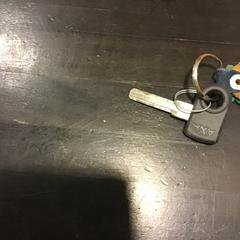 Sleutel, zoals gemeld door U-OV Utrecht met iLost