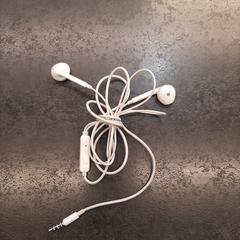 Oortjes merk Apple, as reported by Rotterdam The Hague Airport using iLost