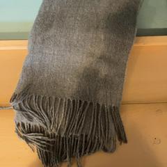 숄, iLost를 사용하여 Familie Resort Molenwaard에 보고됨