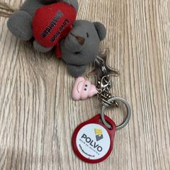 Schlüsselbund & Schild, gemeldet von Pathé Delft über iLost