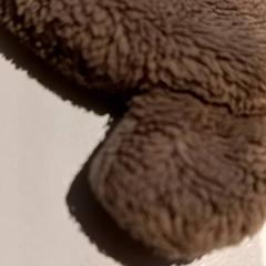 Kosete leke, som rapportert av De Efteling ved bruk av iLost