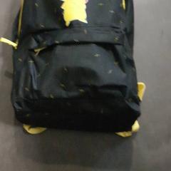 Backpack, as reported by Transdev Hoeksche Waard Goeree Overflakkee using iLost