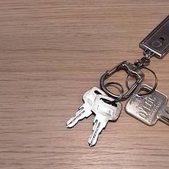 Chaves, segundo informou Qbuzz Fryslân usando iLost