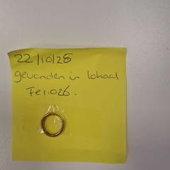 Boucle d'oreille, a été signalé par Breda University of Applied Sciences Mgr. Hopmansstraat utilisant iLost