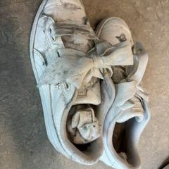 Sneakers wit brede veters, as reported by ACTA using iLost