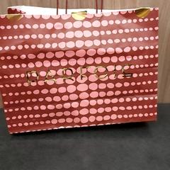 Saco, como reportado por Rotterdam The Hague Airport utilizando o iLost