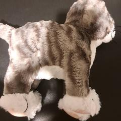 Peluxea Kat, gisa salatu by IKEA Wilrijk iLost erabiliz