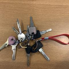 Schlüsselanhänger, gemeldet von Gemeente Amsterdam - Bureau Gevonden Voorwerpen über iLost