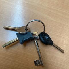 Sleutelbos がiLostで Gemeente Zutphen によって報告されました