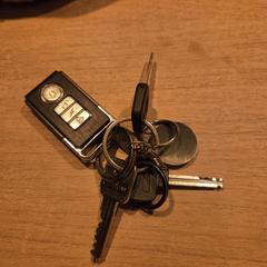 Sleutelbos, as reported to iLost