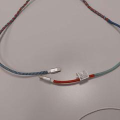 Cable Rood/blauw, segons ha informat Vrije Universiteit Amsterdam mitjançant iLost