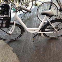 Bike Wit, fietskrat, as reported by Fietsdepot Meierijstad using iLost