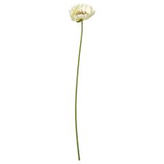 Producto IKEA, ha sido reportado por IKEA新三郷 con iLost