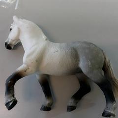 Paard, zoals gemeld door St. Antonius Ziekenhuis Utrecht met iLost