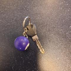 Sleutels, amint azt Blauwnet Zwolle az iLost segítségével jelentette.